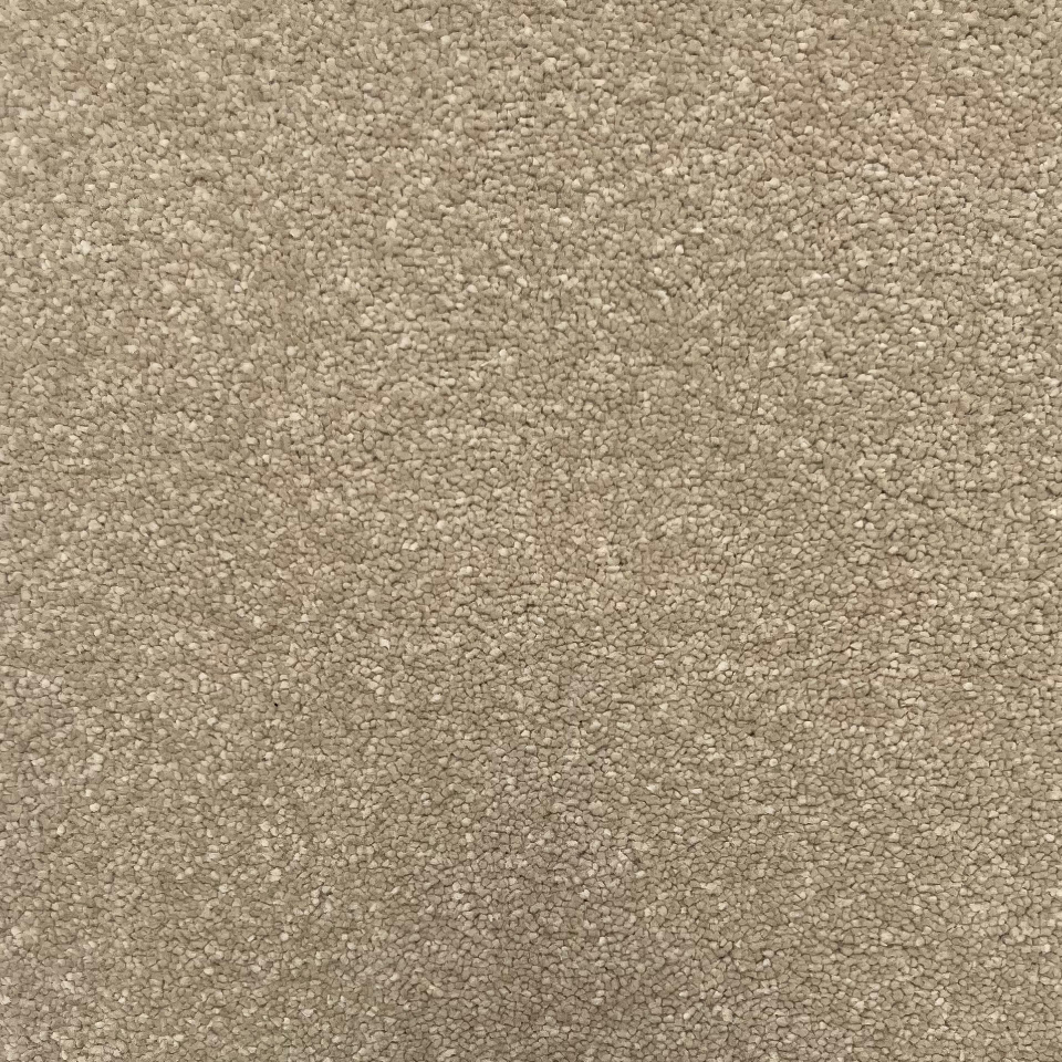 Ultimate impressions saxony carpet in Paradise