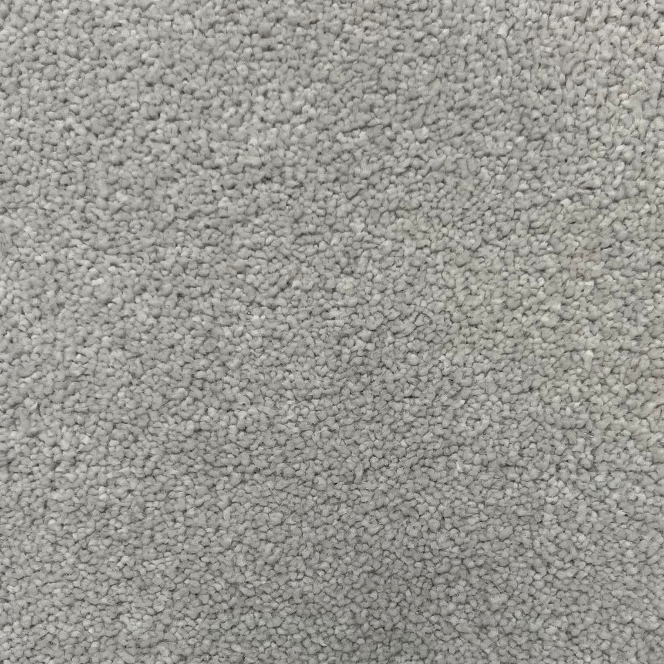 Ultimate impressions saxony carpet in silken