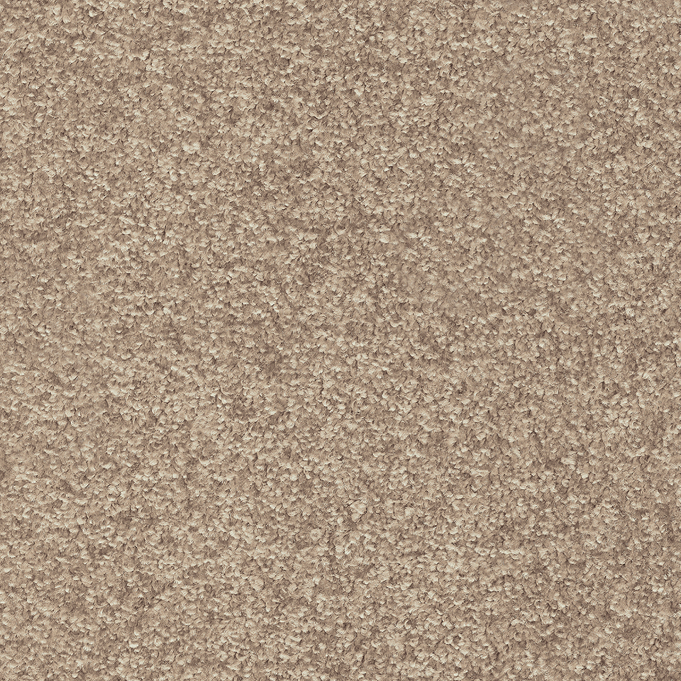 Yukon saxony carpet in colour Barbados