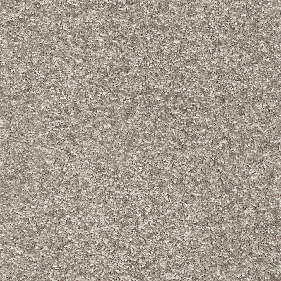 Yukon saxony carpet in colour Safari